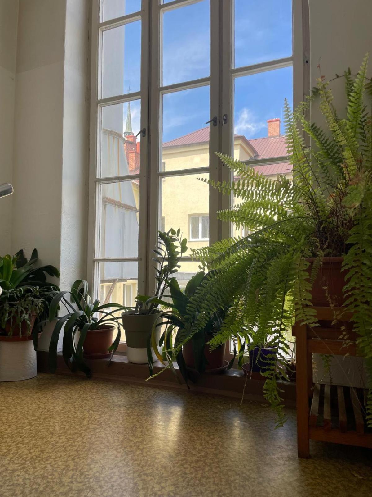 Hotel Moravia *